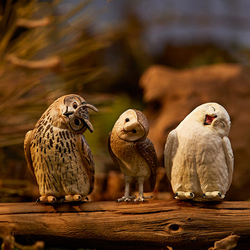 Crooked head Realistic Owl Figurine